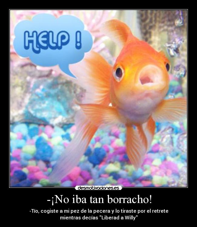 Usuario Laura.VC Desmotivaciones