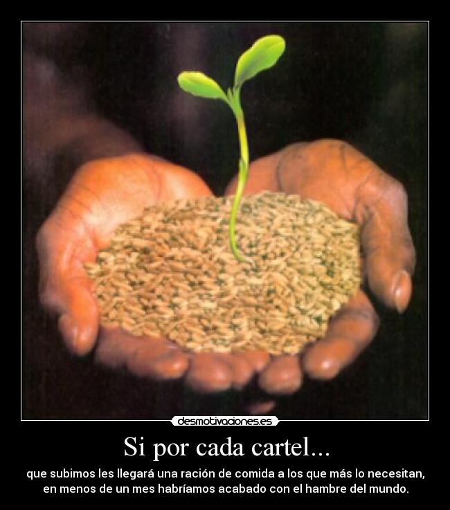 Si por cada cartel... - 