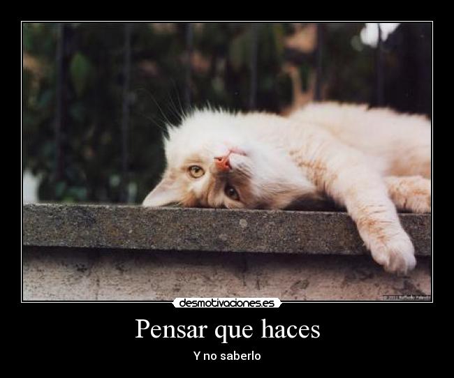 Pensar que haces - 