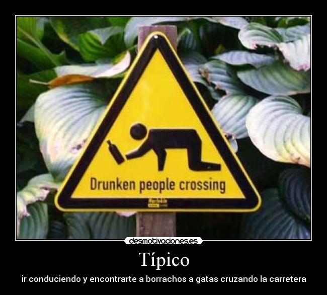 Típico - ir conduciendo y encontrarte a borrachos a gatas cruzando la carretera
