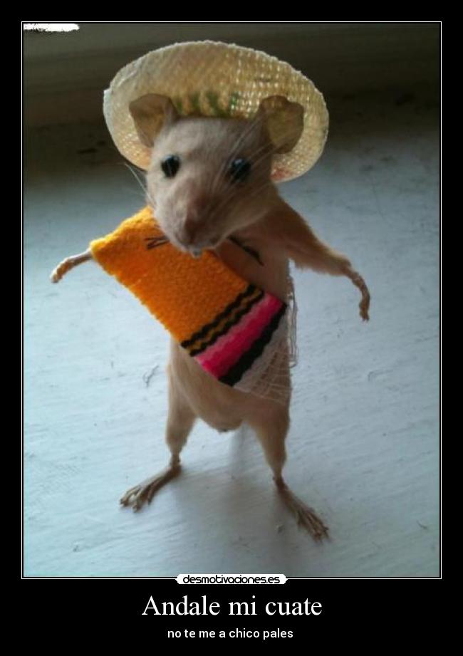 carteles andale desmotivaciones