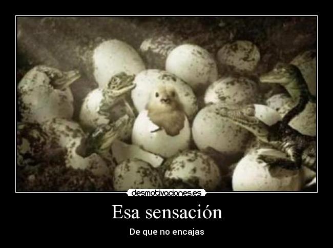 Esa sensación - De que no encajas