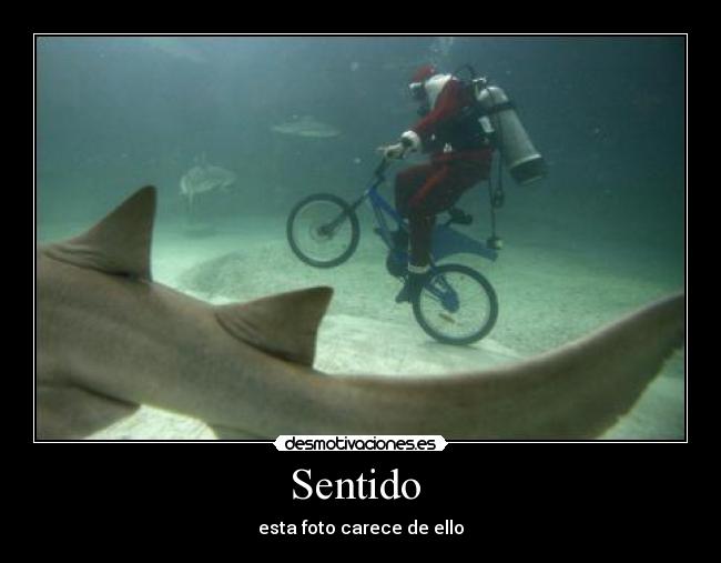 Sentido - esta foto carece de ello