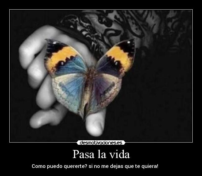 Pasa la vida -