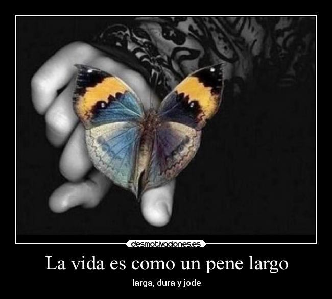 carteles vida ddd desmotivaciones