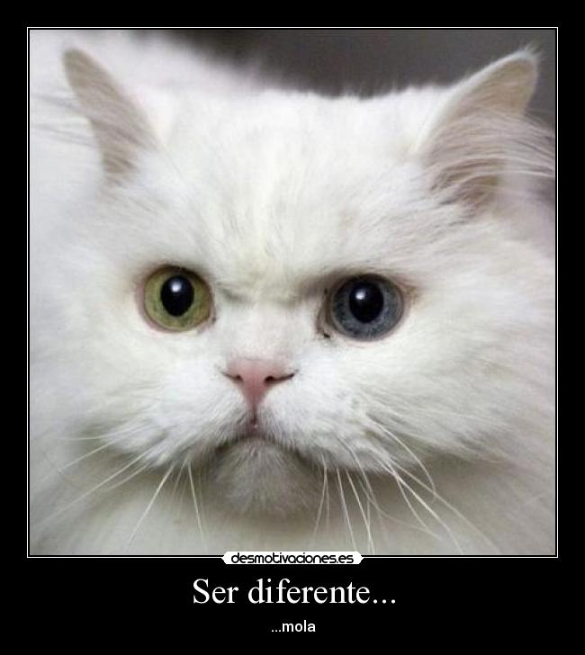 Ser diferente... - 