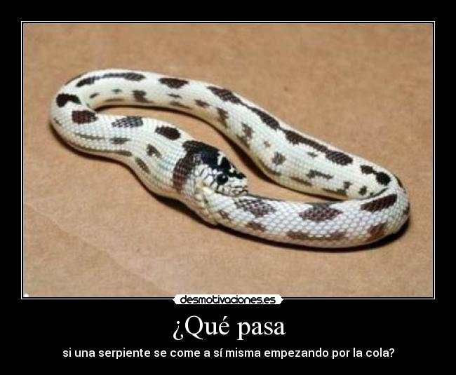 ¿Qué pasa - si una serpiente se come a sí misma empezando por la cola?
