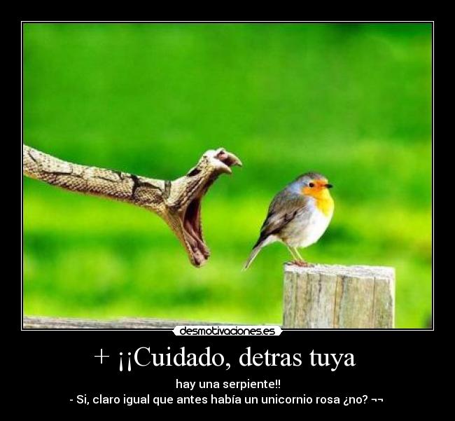 + ¡¡Cuidado, detras tuya -