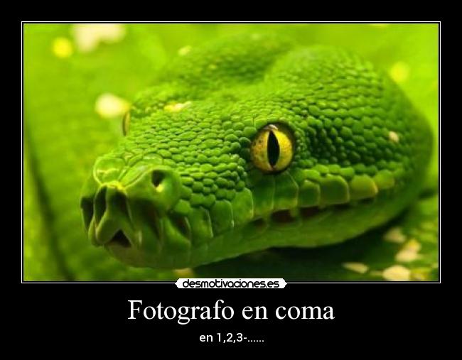 Fotografo en coma - en 1,2,3-......