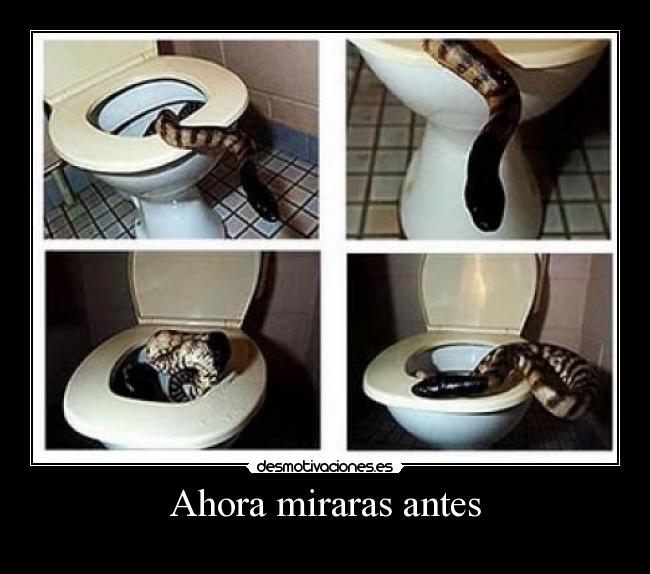 carteles sdfs desmotivaciones