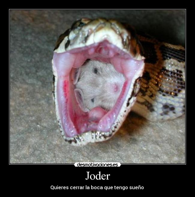 Joder - Quieres cerrar la boca que tengo sueño