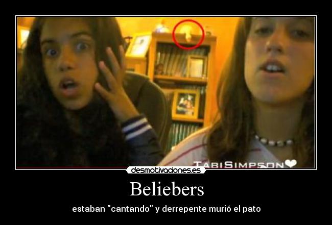 Beliebers - 