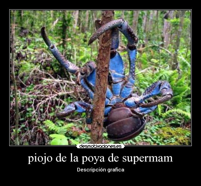 carteles osvaldo desmotivaciones