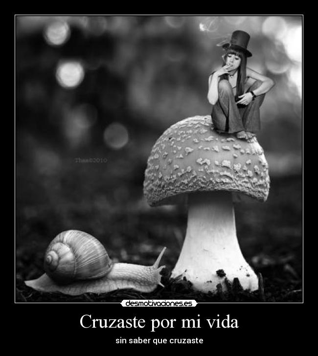 Cruzaste por mi vida - sin saber que cruzaste