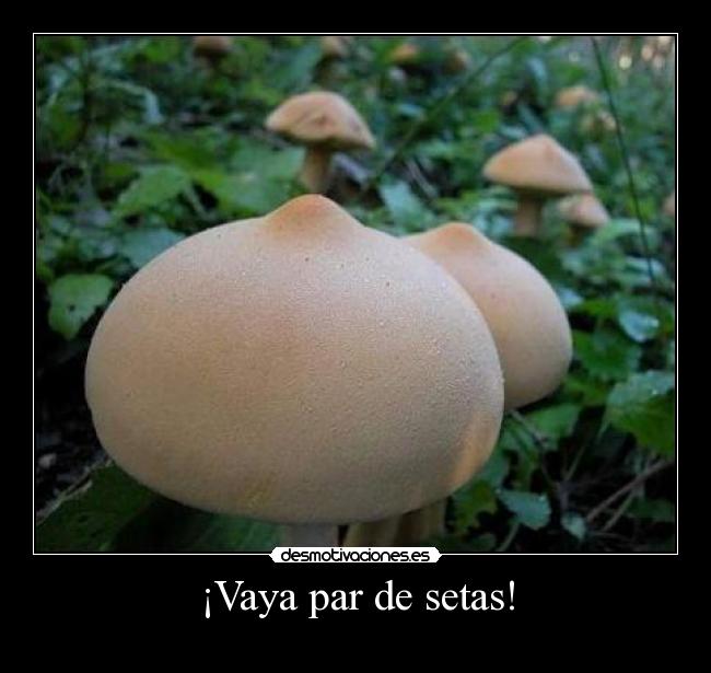 ¡Vaya par de setas! -   