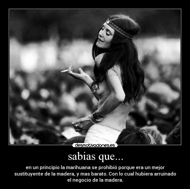 sabias que... -