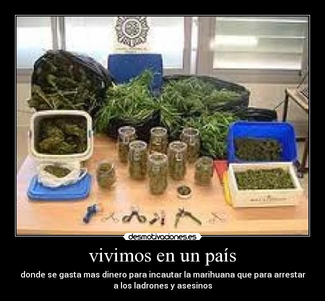 vivimos en un país - donde se gasta mas dinero para incautar la marihuana que para arrestar
a los ladrones y asesinos