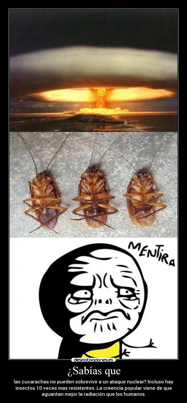 carteles cucarachas ataque nuclear desmotivaciones