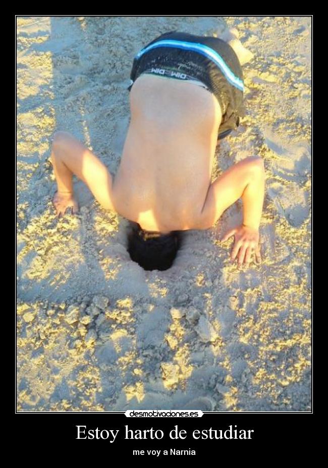 Estoy harto de estudiar - me voy a Narnia
