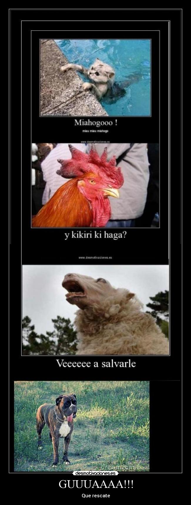 GUUUAAAA!!! - Que rescate