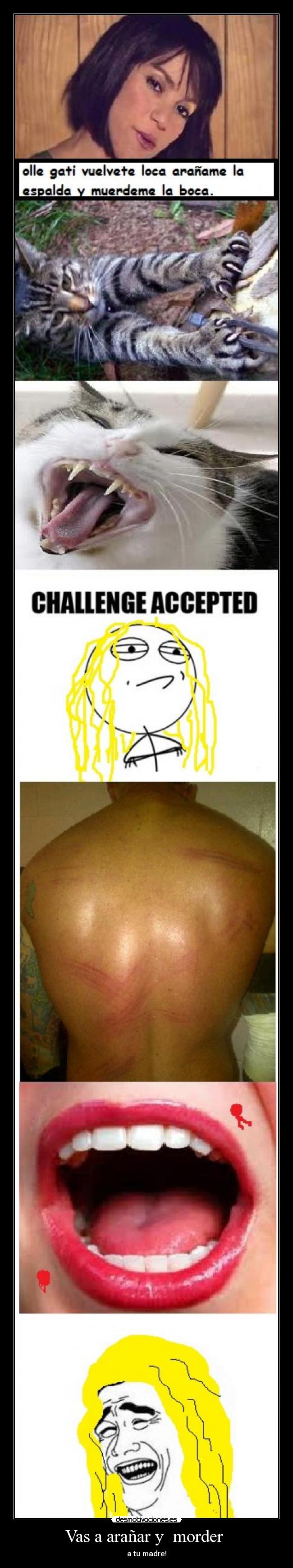 Vas a arañar y  morder  - 