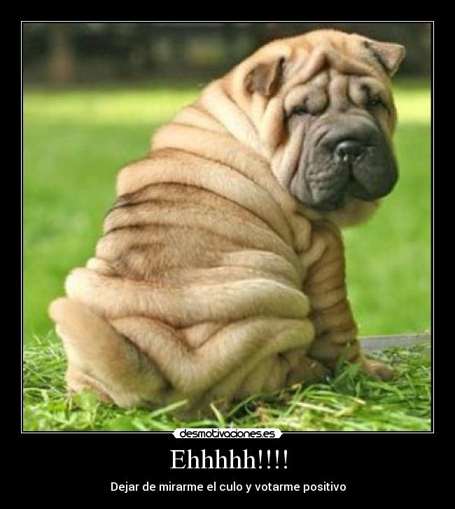 Ehhhhh!!!! - Dejar de mirarme el culo y votarme positivo