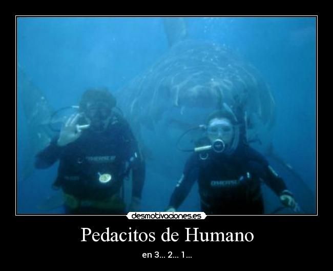 Pedacitos de Humano - 