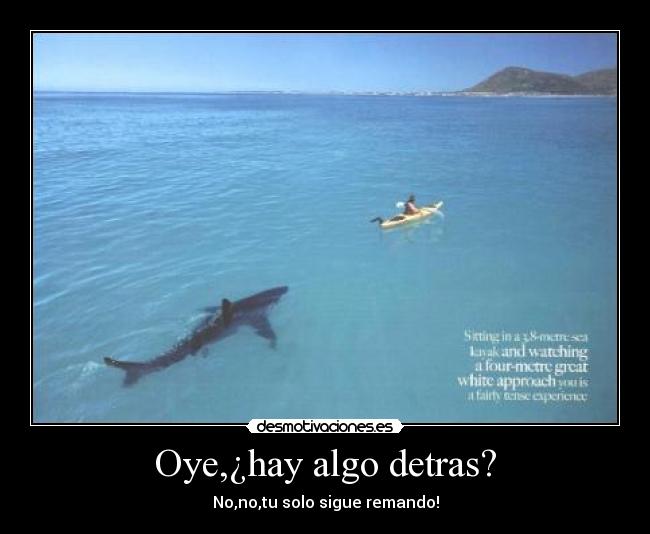 carteles tiburonkayakchavalremar desmotivaciones