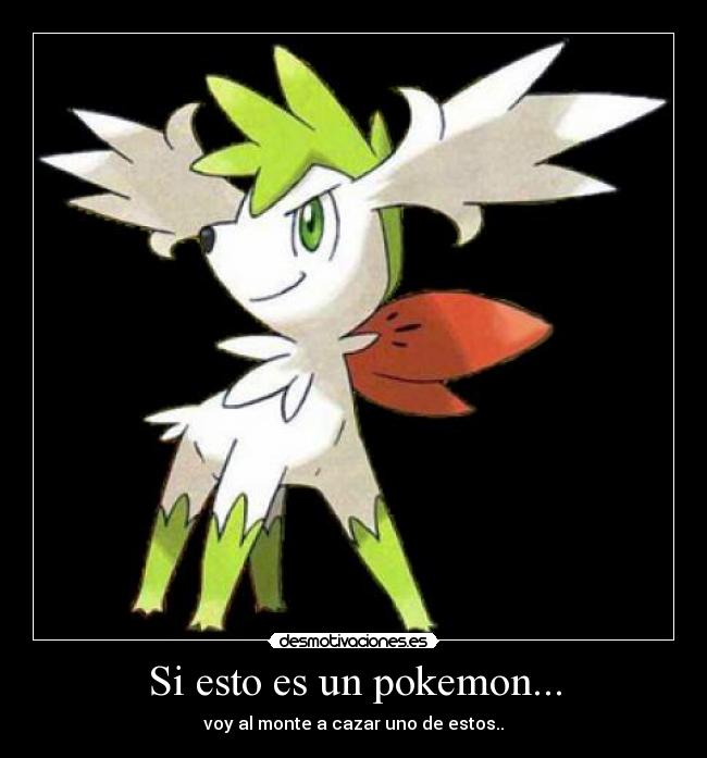 Si esto es un pokemon... - voy al monte a cazar uno de estos..