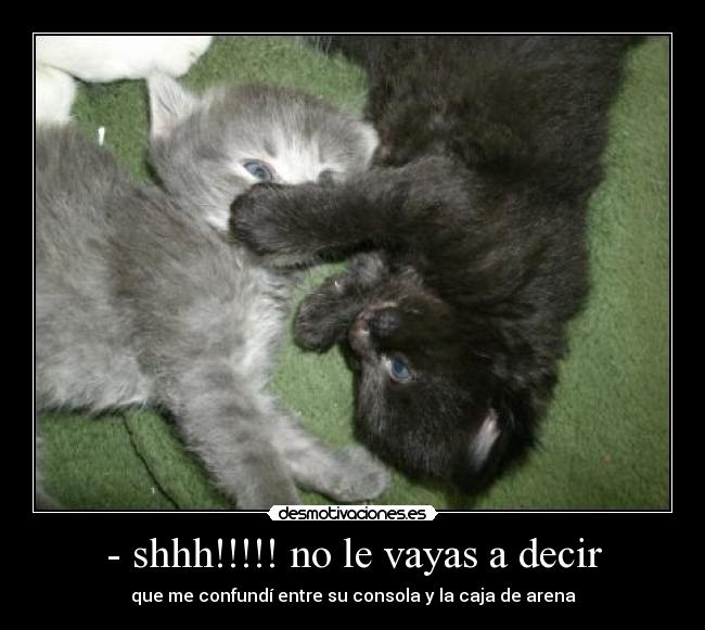- shhh!!!!! no le vayas a decir -