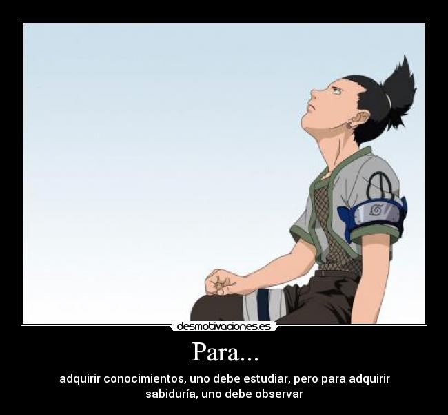 carteles sabiduria desmotivaciones