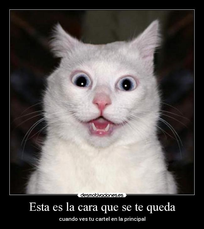 Esta es la cara que se te queda -