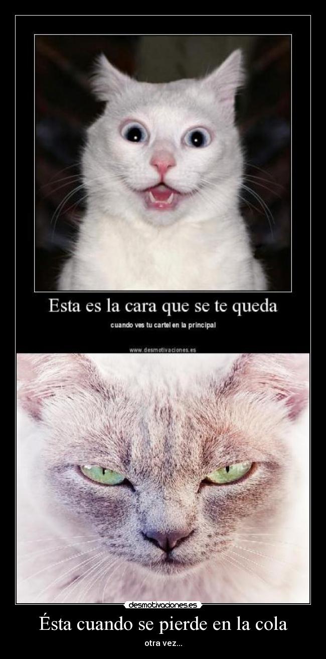 Ésta cuando se pierde en la cola -