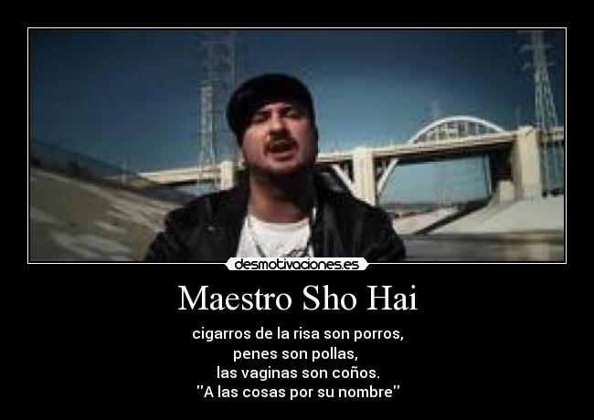 Maestro Sho Hai -