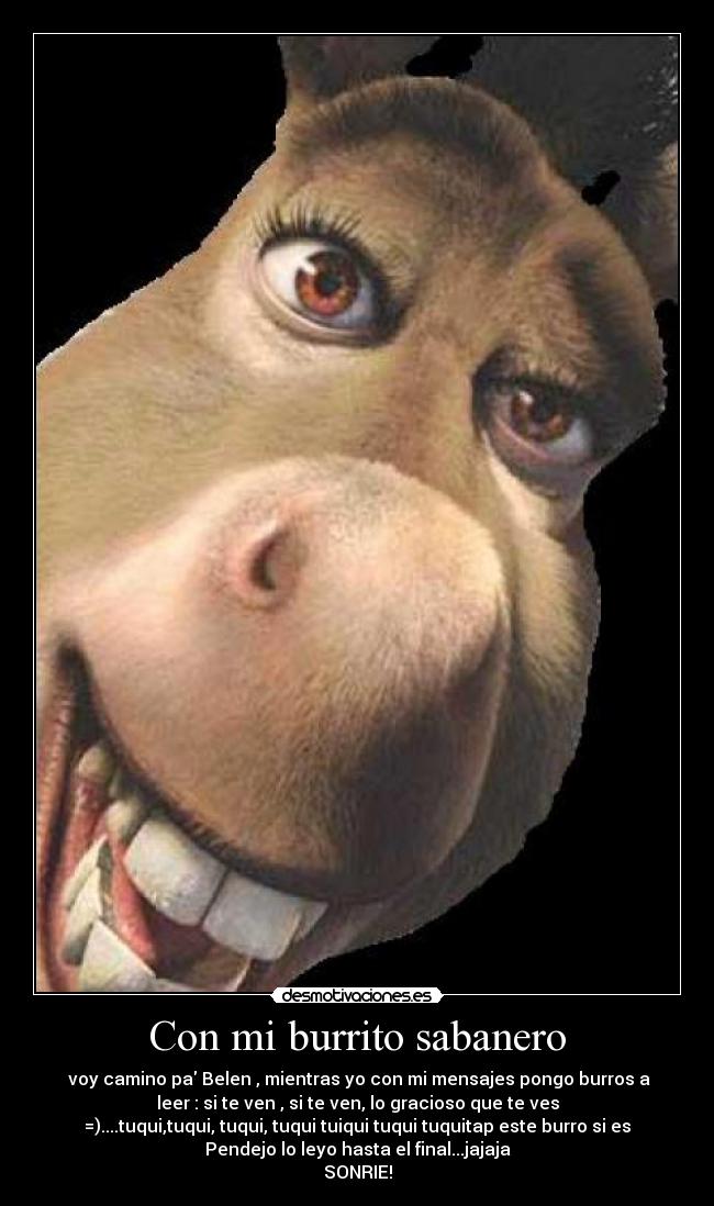 Con mi burrito sabanero - 