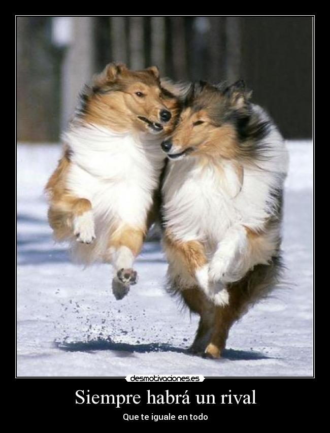 Siempre habrá un rival - Que te iguale en todo