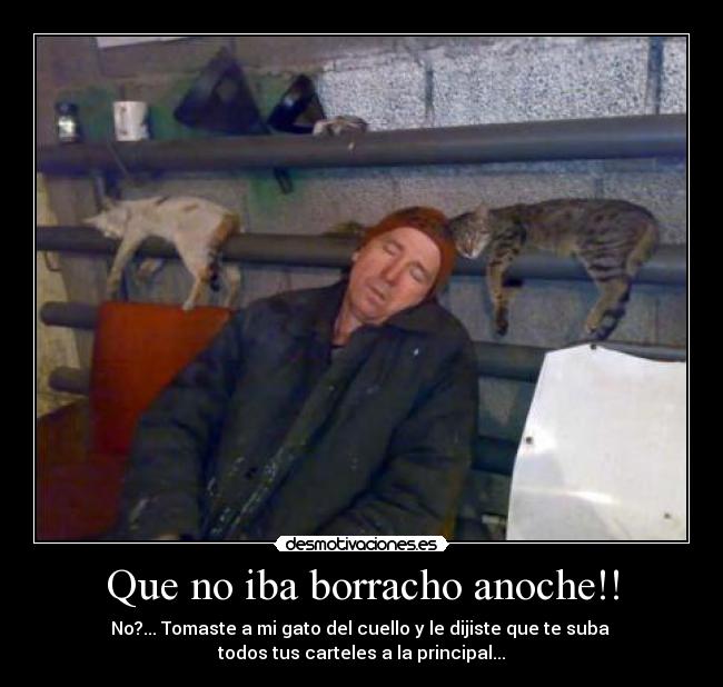 Que no iba borracho anoche!! - 