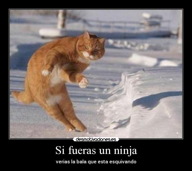 Si fueras un ninja -