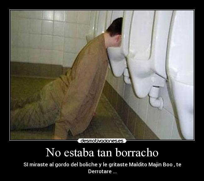 No estaba tan borracho - SI miraste al gordo del boliche y le gritaste Maldito Majin Boo , te Derrotare ...