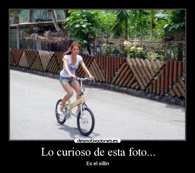 Lo curioso de esta foto... - Es el sillín