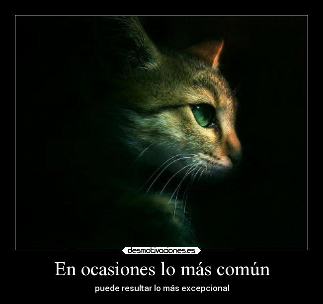 En ocasiones lo más común -