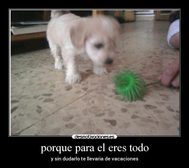 porque para el eres todo -