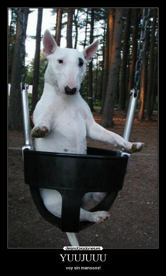 carteles sin manos desmotivaciones