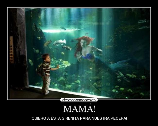 MAMÁ! - QUIERO A ÉSTA SIRENITA PARA NUESTRA PECERA!