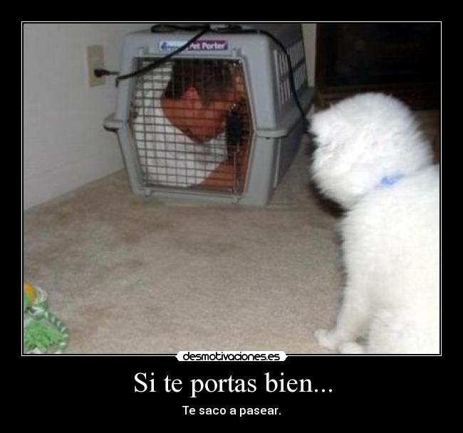 Si te portas bien... - 