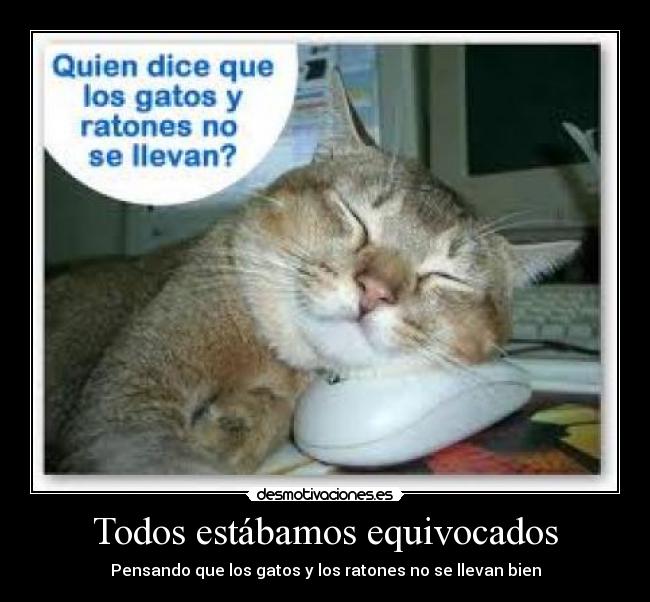 Todos estábamos equivocados -