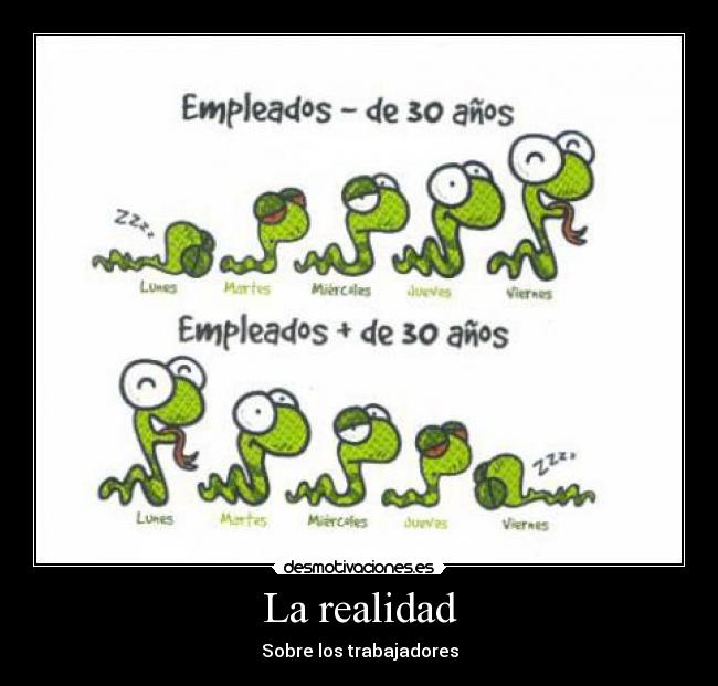 La realidad - 