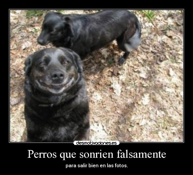 carteles desmotivaciones