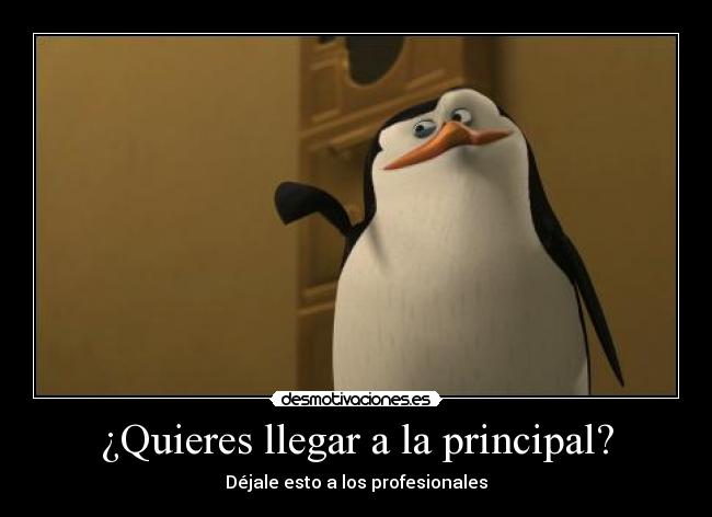 ¿Quieres llegar a la principal? - 