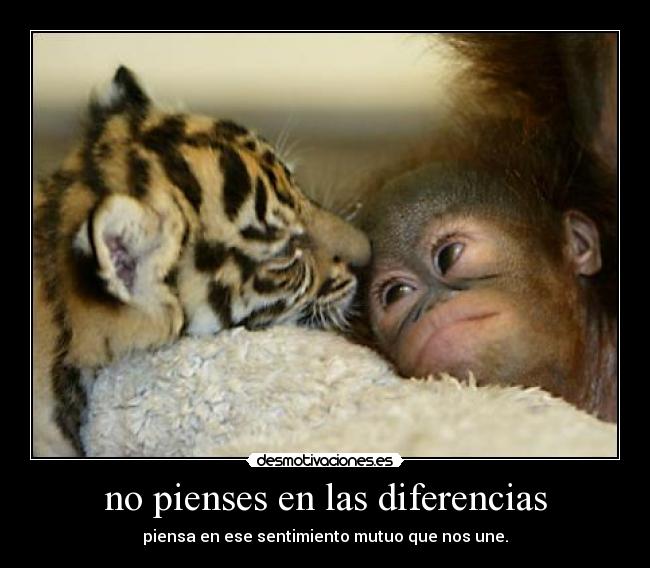 no pienses en las diferencias - 